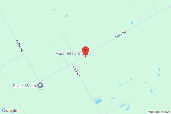 Hill Farm