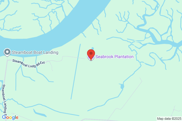 Ravenswood Plantation Inc
