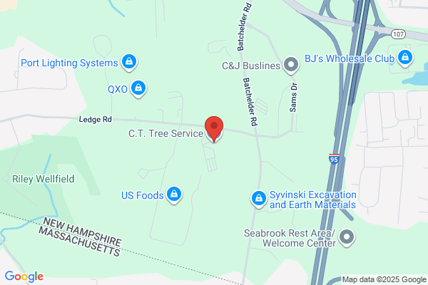 C.T. Tree Service LLC
