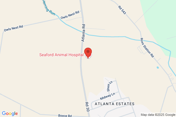 Seaford Animal Hospital