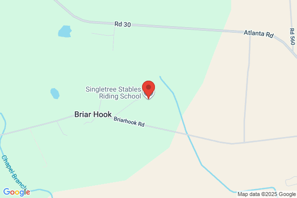 Singletree Stables Riding School Inc