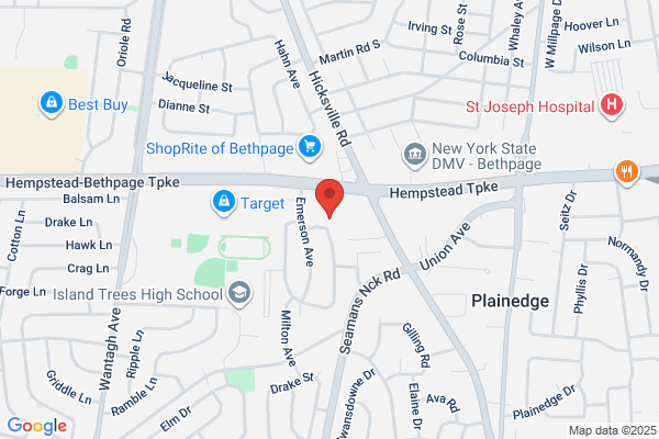 Top China Restaurant Bethpage Inc