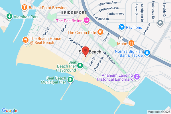 California Seashell Co Inc