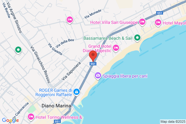 Dianas Charters & Tours
