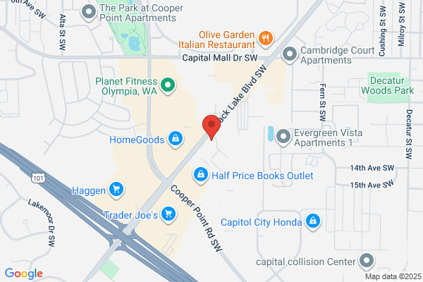 Olympic View Llc