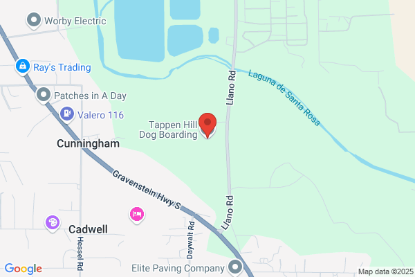Tappen Hill For Dogs