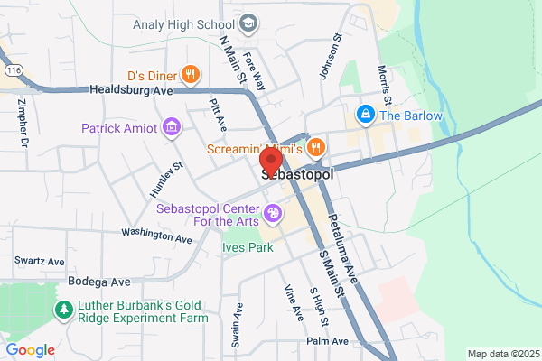 Sebastopol City of, Business Calls