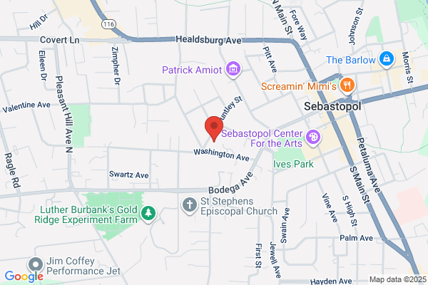 Sebastopol Union School District, Schools