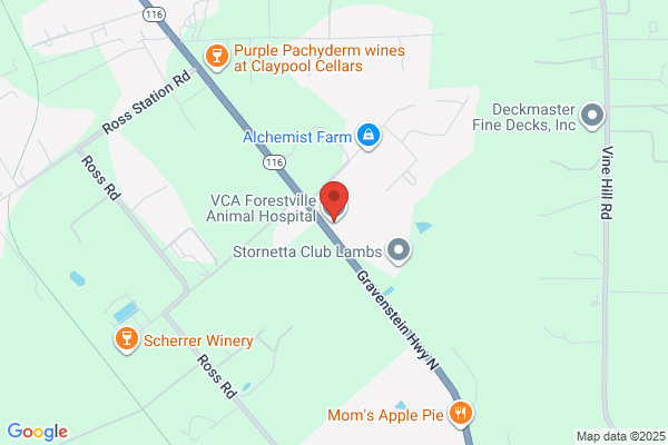 VCA Forestville Animal Hospital