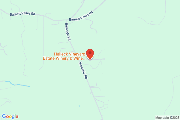 Willow Wineries Sebastopol