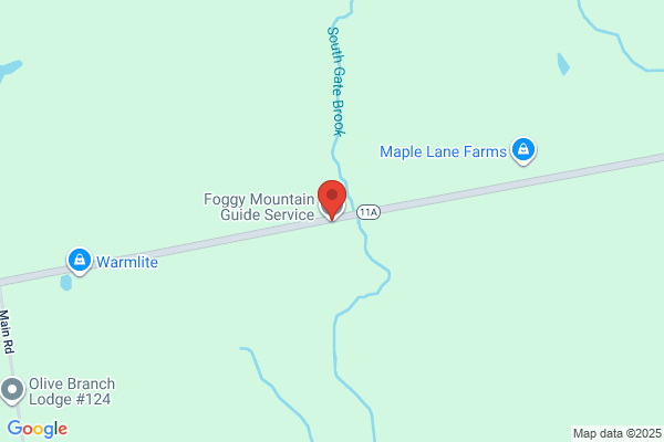 Foggy Mountain Guide Service