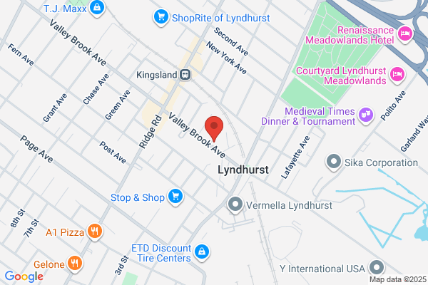 Plaid Motors Inc