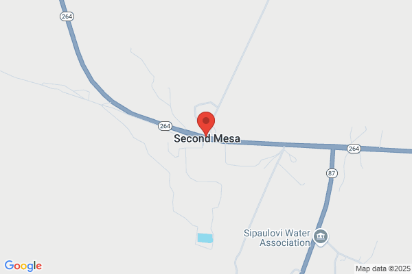 Second Mesa Enterprises Incorporated