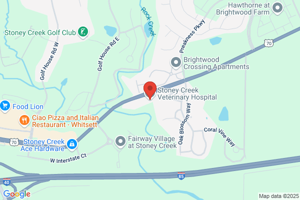 Stoney Creek Veterinary Hospital