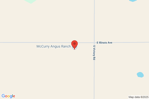 McCurry Brothers Angus Farm