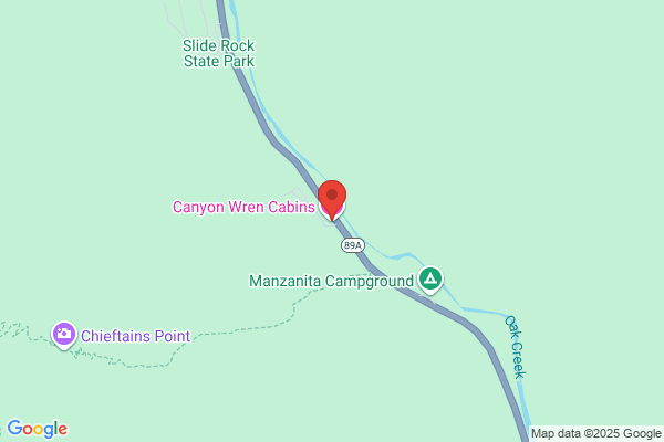 Canyon Wren the