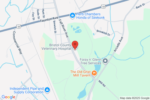 Bristol County Veterinary Hospital