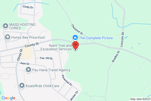 Pride Tree Service