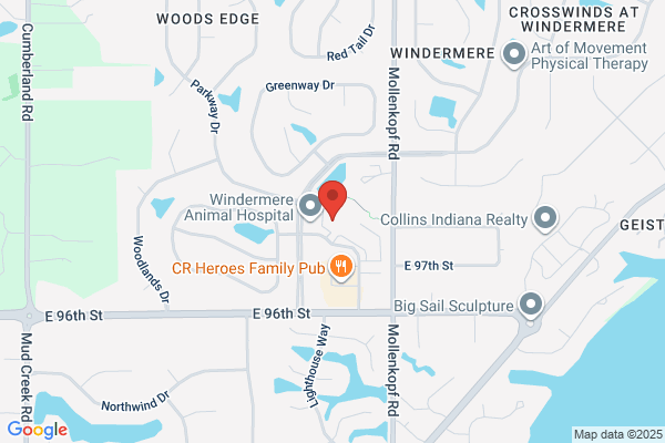 Teddy Bear Learning Center & Daycare