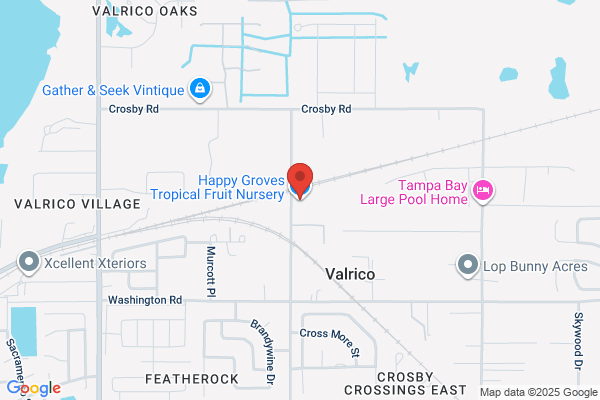 Valrico Nursery