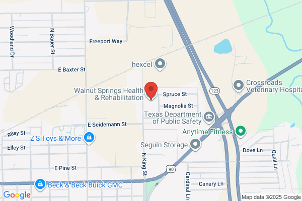 Walnut Springs Electric