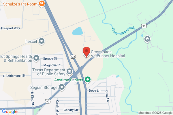 Crossroads Veterinary Hospital Inc