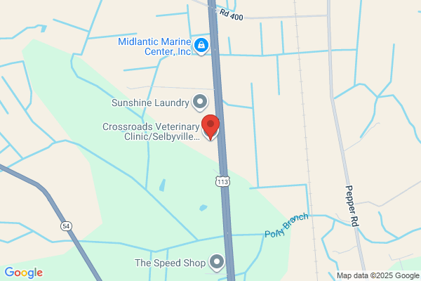Crossroads Veterinary Clinic At Selbyville Animal Hospital