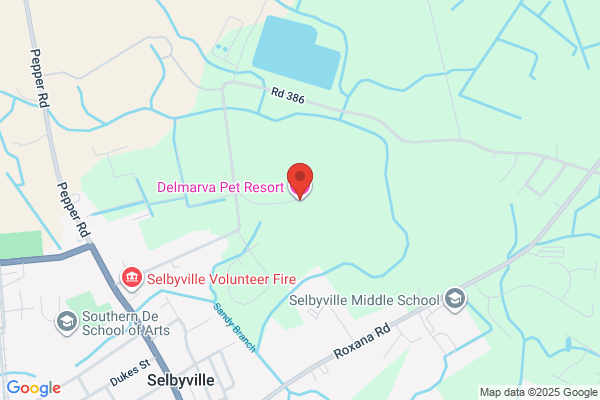 Delmarva Pet Resort