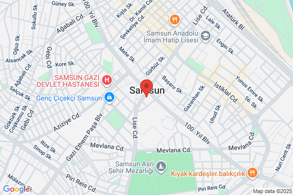 Sinem Ozden Corporation