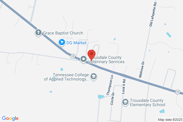 Highway 31 Gas & Food Mart