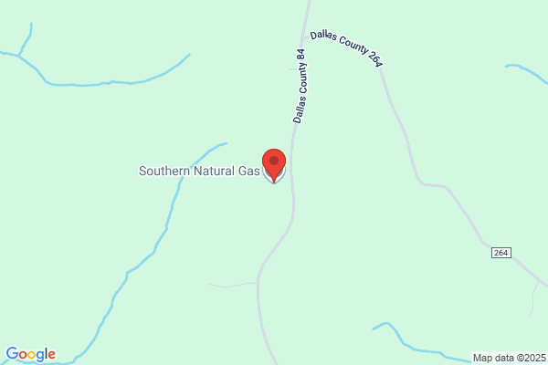 Southern Natural Gas Co