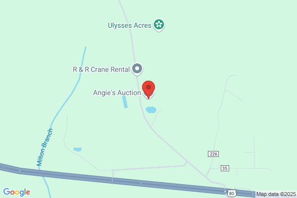 Angies Auction