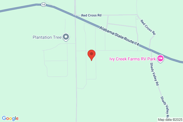 Plantation Tree Company