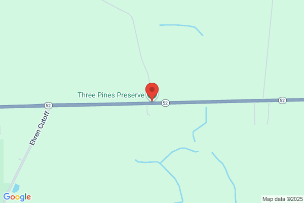 Three Pines Inc