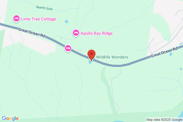 Wildlife Wonders