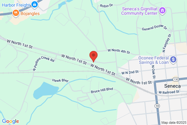 Seneca Auto Sales Inc
