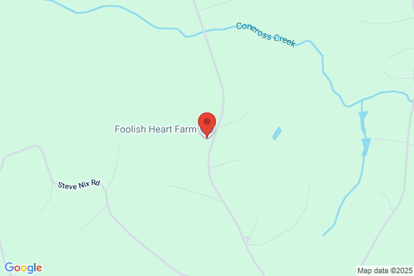 Foolish Heart Kennels
