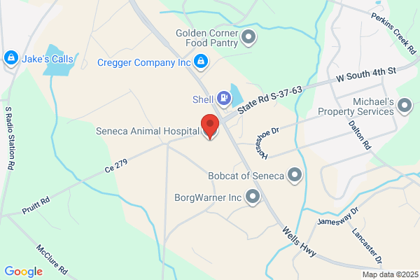 Seneca Animal Hospital
