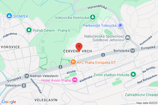 Czechs & Balances