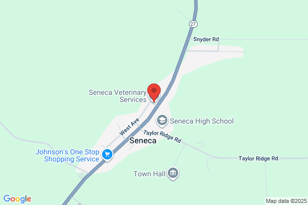 Seneca Veterinary Services