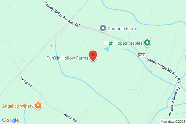 Punkin Hollow Farms