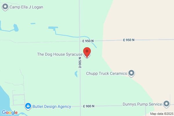 Dog House the