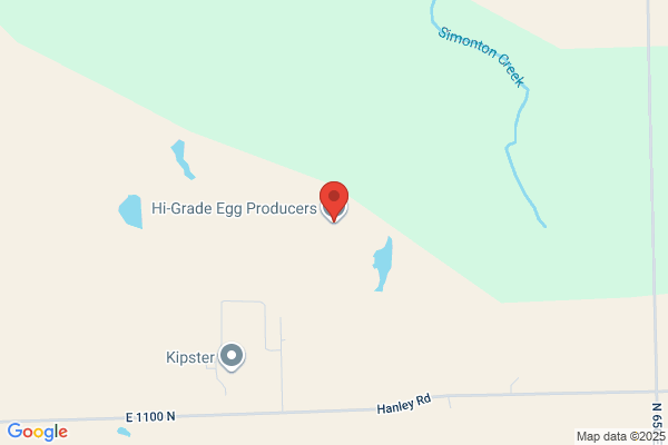 Hi-Grade Egg Producers & Processing