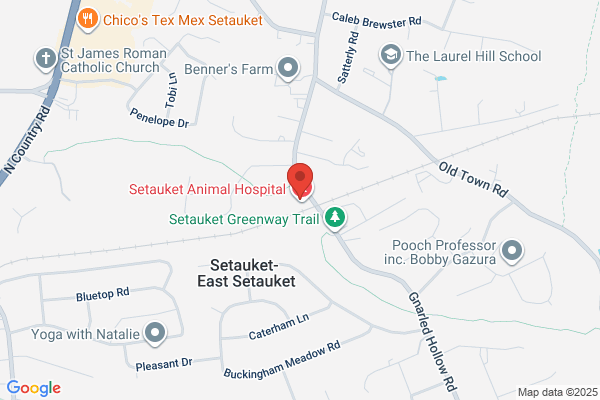 Setauket Animal Hospital