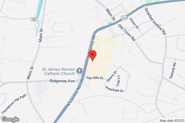 Setauket Village Diner