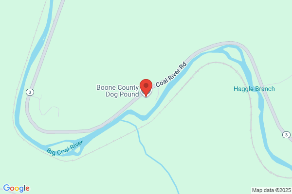 Boone County Dog Pound