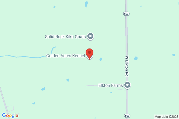 Golden Acres Kennel
