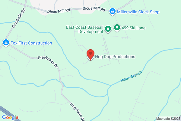 It's Magic House of Dogs