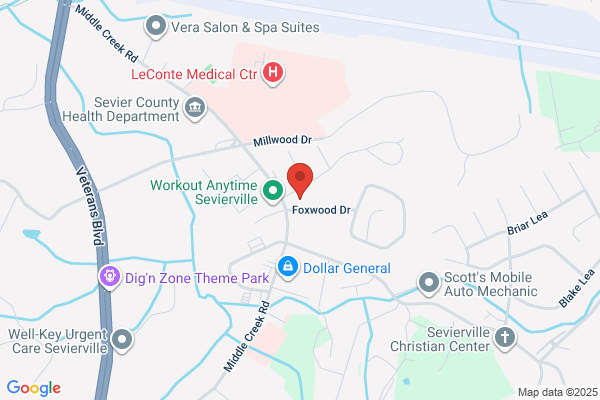 Pro Therapy Services of East Tennessee