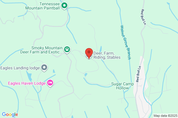 Deer Farm Riding Stables